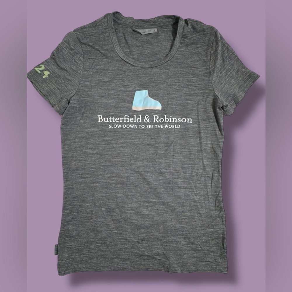 Icebreaker Merino Tech Lite Top Skyline Shirt Women's Small Gray SS *read*